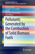 Pollutants Generated by the Combustion of Solid Bi