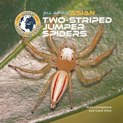 All about Asian Two-Striped Jumper Spiders