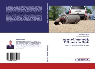 Impact of Automobile Pollutants on Plants