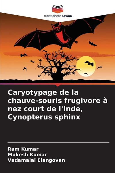 Caryotypage de la chauve-souris frugivore à nez court de l’Inde, Cynopterus sphinx