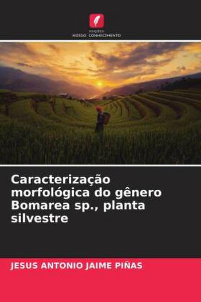 Caracterização morfológica do gênero Bomarea sp., planta silvestre