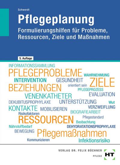 eBook inside: Buch und eBook Pflegeplanung, m. 1 Buch, m. 1 Online-Zugang