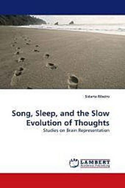 Song, Sleep, and the Slow Evolution of Thoughts