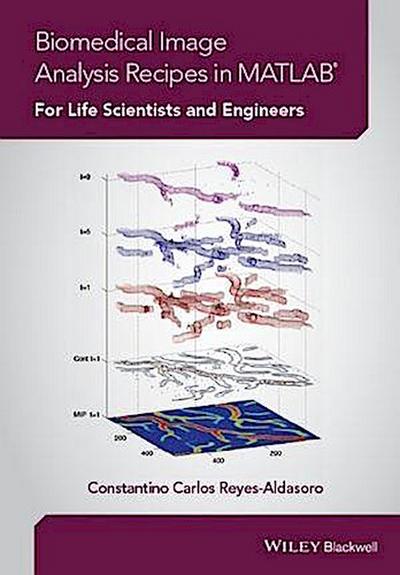 Biomedical Image Analysis Recipes in MATLAB