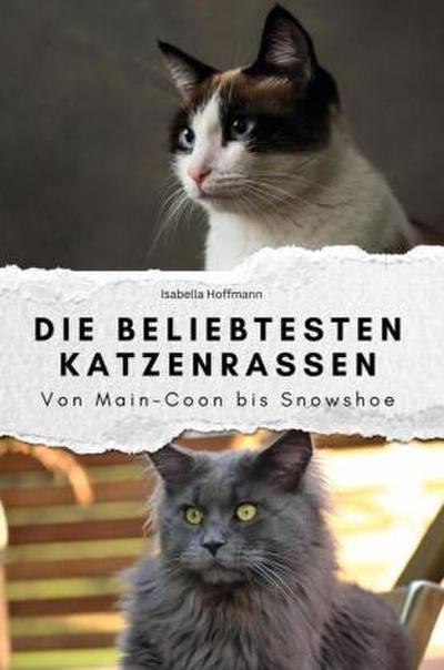 Die beliebtesten Katzenrassen - Das perfekte Geschenk für Männer und Frauen zu Weihnachten und Geburtstag