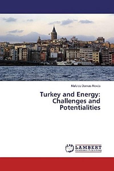 Turkey and Energy: Challenges and Potentialities