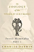 Fossil Mammalia - Part I - The Zoology of the Voyage of H.M.S Beagle