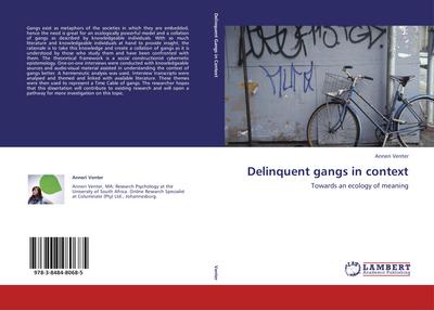 Delinquent gangs in context