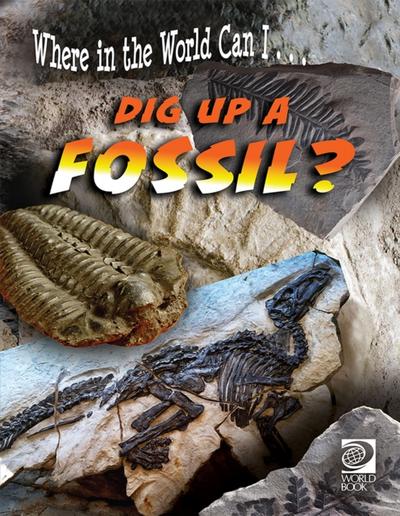 Dig Up a Fossil?