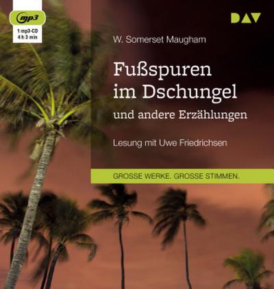 Fußspuren im Dschungel und andere Erzählungen, 1 Audio-CD, 1 MP3