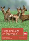 Hege und Jagd im Jahreslauf von Bruno Hespeler | Buch