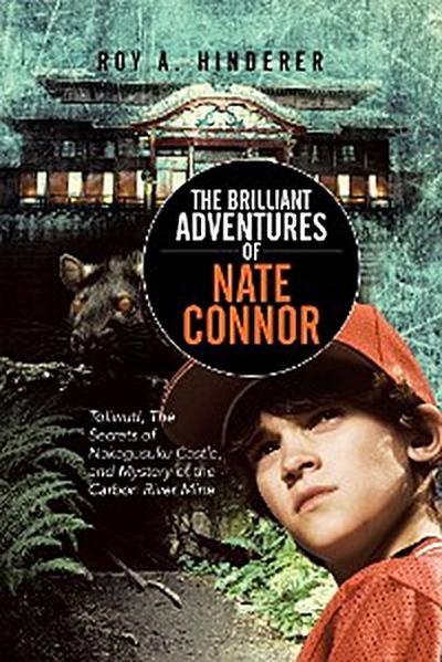 The Brilliant Adventures of Nate Connor