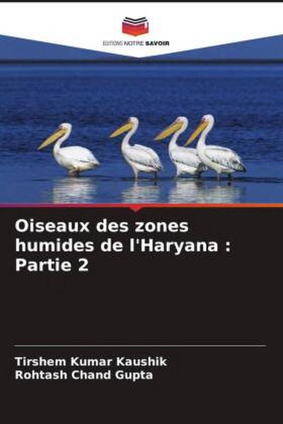 Oiseaux des zones humides de l’Haryana : Partie 2