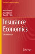 Insurance Economics