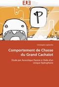 Comportement de Chasse du Grand Cachalot