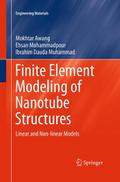 Finite Element Modeling of Nanotube Structures