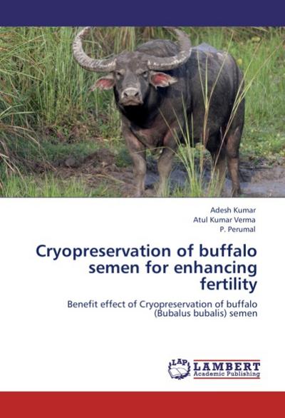 Cryopreservation of buffalo semen for enhancing fertility