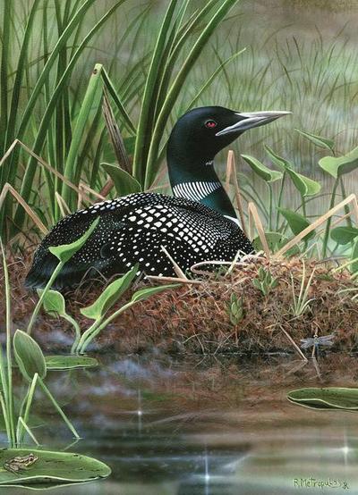 Symbol of the North 1000-Piece Puzzle