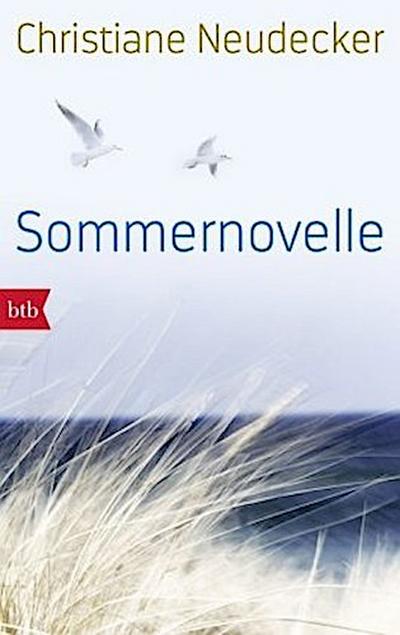 Sommernovelle