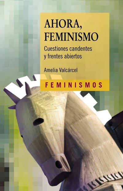 Ahora, feminismo : cuestiones candentes y frentes abiertos