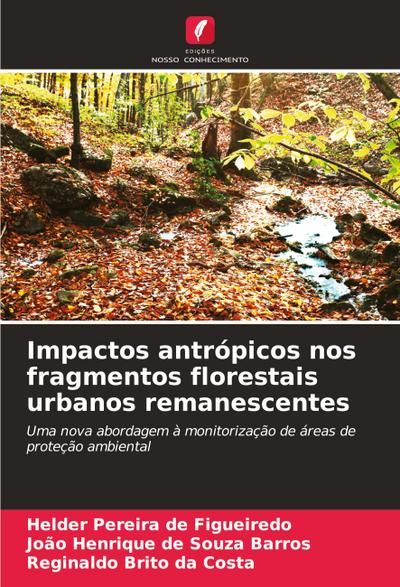 Impactos antrópicos nos fragmentos florestais urbanos remanescentes