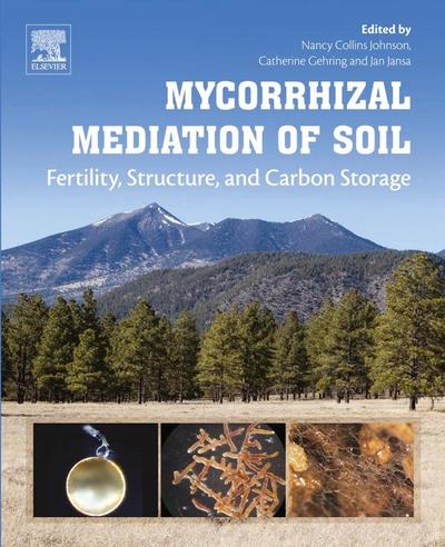 Mycorrhizal Mediation of Soil