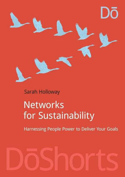 Networks for Sustainability
