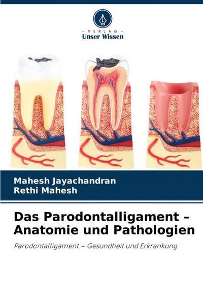 Das Parodontalligament - Anatomie und Pathologien