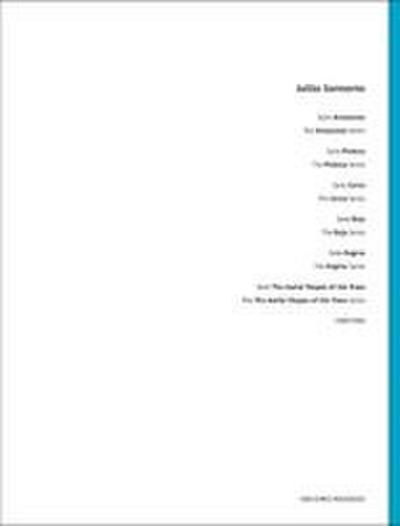 Julião Sarmento: Series Volume 3