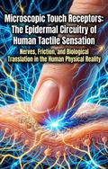 Microscopic Touch Receptors: The Epidermal Circuitry of Human Tactile Sensation