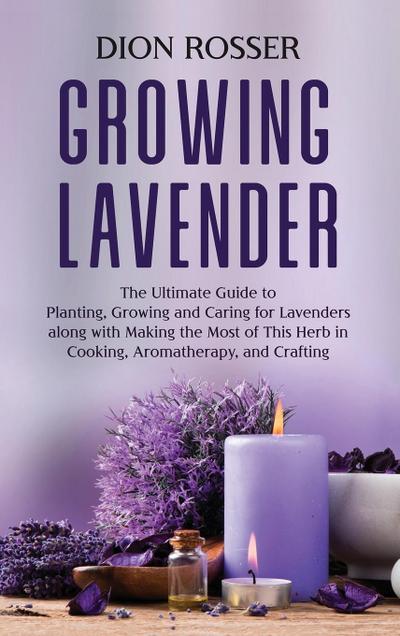 Growing Lavender