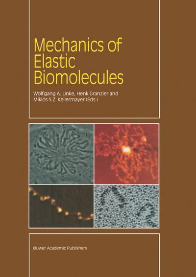 Mechanics of Elastic Biomolecules