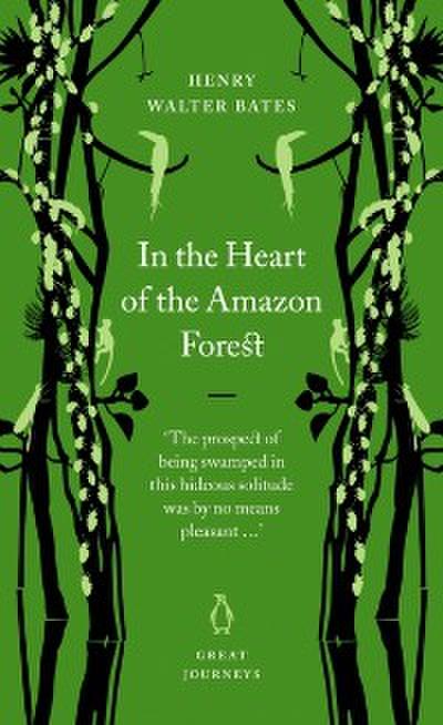 In the Heart of the Amazon Forest