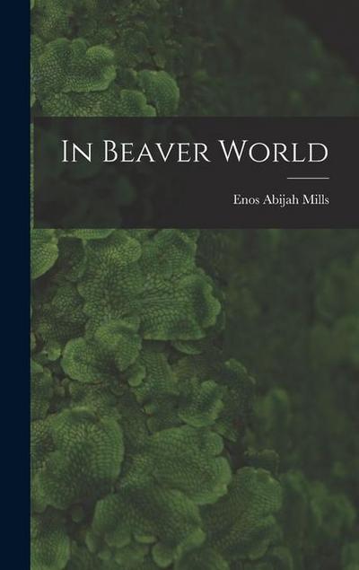 In Beaver World