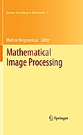 Mathematical Image Processing