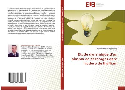 Étude dynamique dun plasma de décharges dans l’iodure de thallium