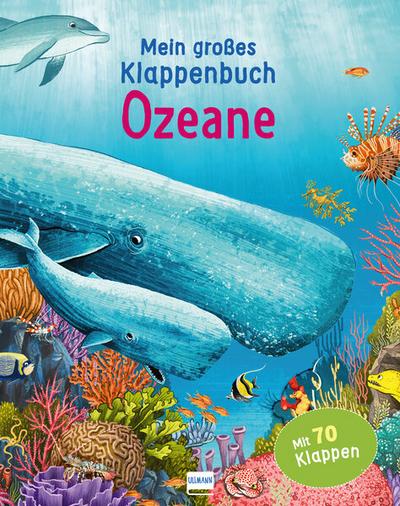 Klappenbuch - Ozeane