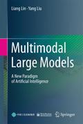 Multimodal Large Models
