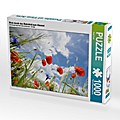 CALVENDO Puzzle Blick durch das Mohnfeld zum Himmel. Landschaft im Havelland. 1000 Teile Lege-Größe 64 x 48 cm Foto-Puzzle Bild von Anja Frost