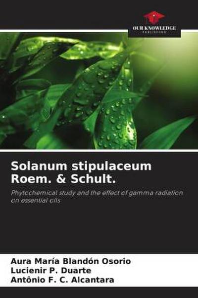 Solanum stipulaceum Roem. & Schult.