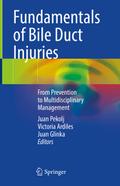 Fundamentals of Bile Duct Injuries