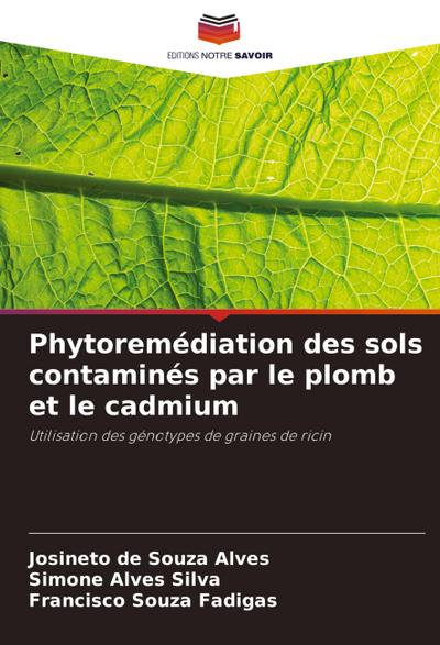 Phytoremédiation des sols contaminés par le plomb et le cadmium