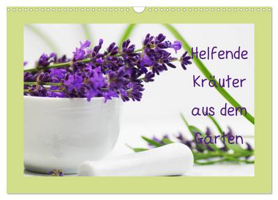 Helfende Kräuter aus dem Garten (Wandkalender 2025 DIN A3 quer), CALVENDO Monatskalender