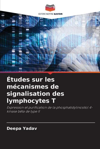Études sur les mécanismes de signalisation des lymphocytes T