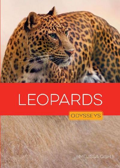 Leopards