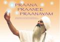 Praana Praanee Praanayam