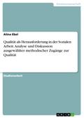 Qualität als Herausforderung in der Sozialen Arbeit. Analyse und Diskussion ausgewählter methodischer Zugänge zur Qualität