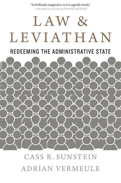 Law and Leviathan