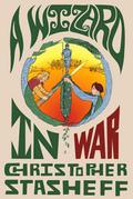 A Wizard in War (Chronicles of the Rogue Wizard, #3)