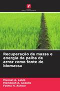 Recuperação de massa e energia da palha de arroz como fonte de biomassa